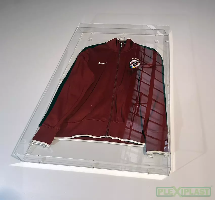 3D framing of an object in plexiglass